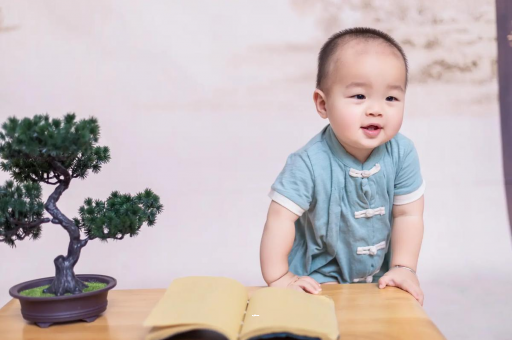 益阳可爱的企鹅宝宝